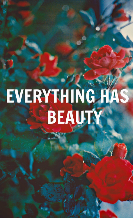 Everything Has Beauty Everything Has Beauty