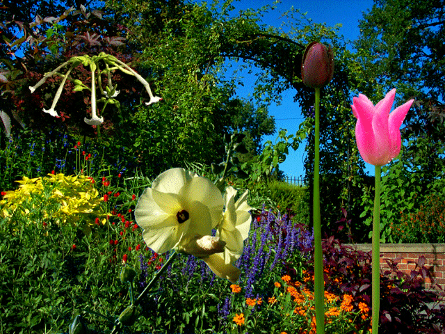 Spring Flower Garden