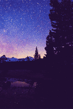 Starry Night Starry Night