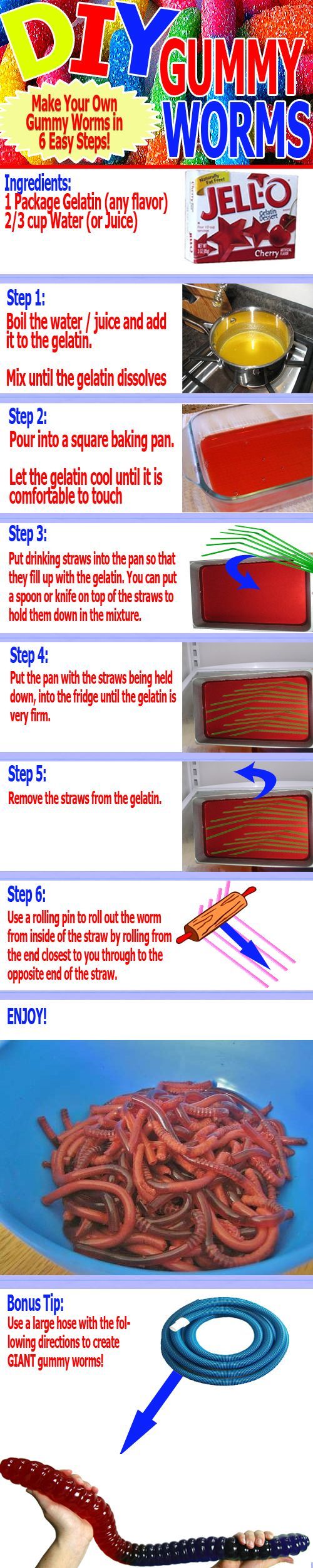 DIY Gummy Worm DIY Gummy Worm