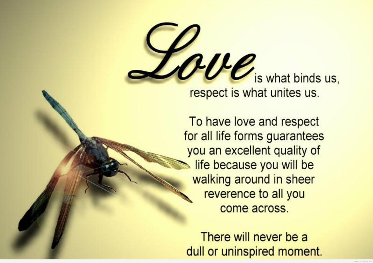 Love is what binds us
