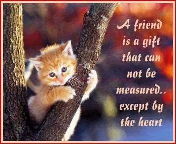 A friend is a gift that cannot be measured except by the heart A friend is a gift that cannot be measured except by the heart