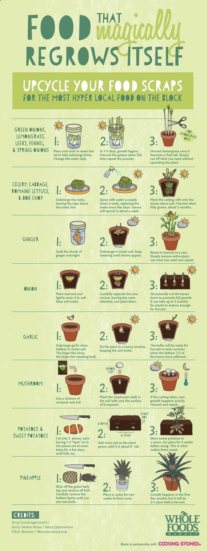 Foods that magically regrow