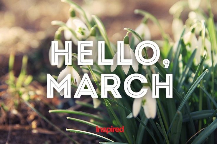 Hello March Hello March