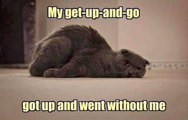 My get up and go My get up and go