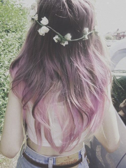 Purple Hoar With Flowers Purple Hoar With Flowers