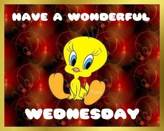 Have a Wonderful Wednesday