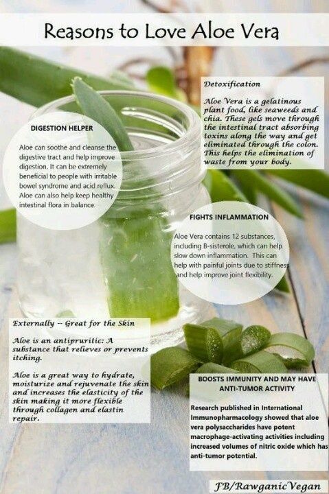 Reasons to love aloe vera