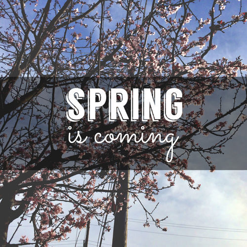 Spring