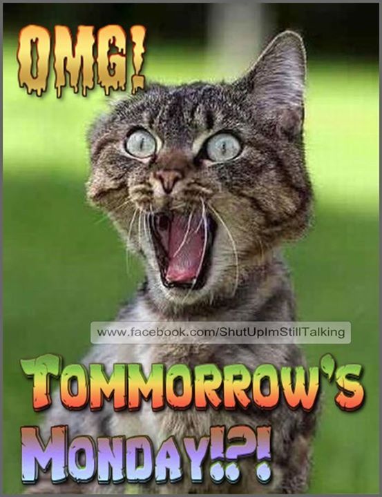 Tomorrows Monday