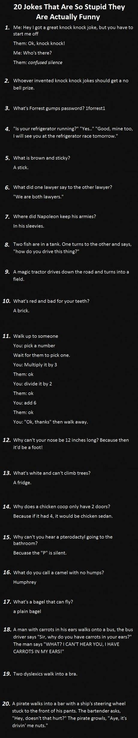 20 Stuoid Jokes 20 Stuoid Jokes