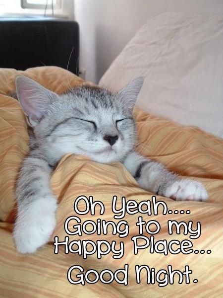 Purrrfect peace Purrrfect peace