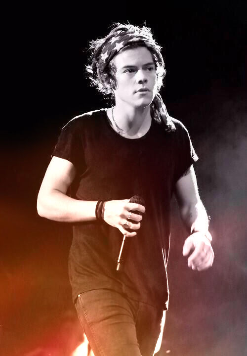 Harry Styles Harry Styles