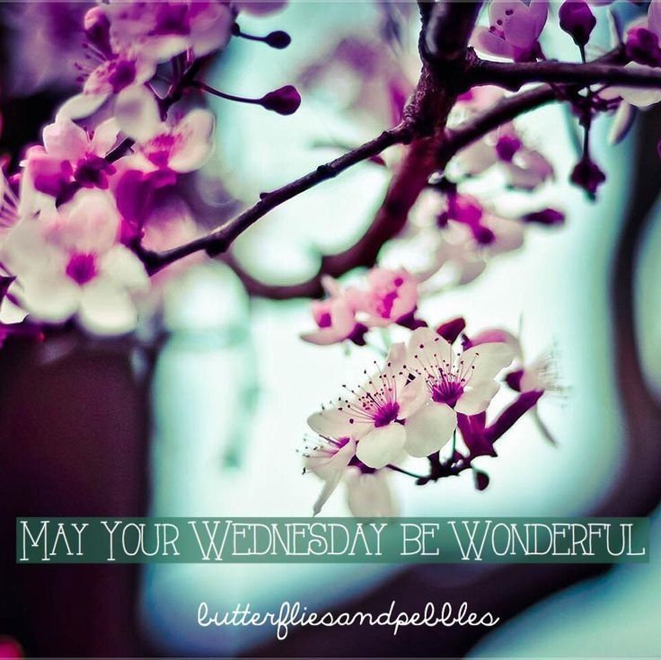 May Your Wednesday Be Wonderful