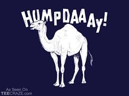 Humpday