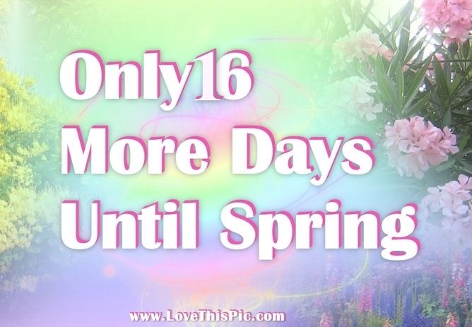 Only 16 Days Until Spring Only 16 Days Until Spring