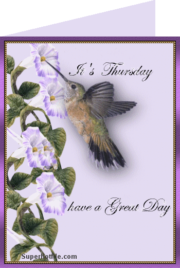 It's Thursday Have a Great Day!