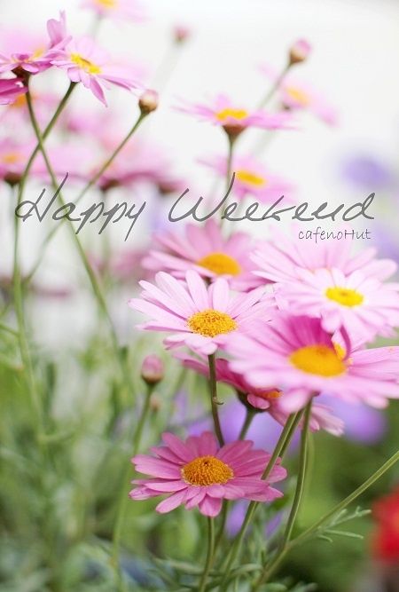 Happy Weekend Pictures, Photos, and Images