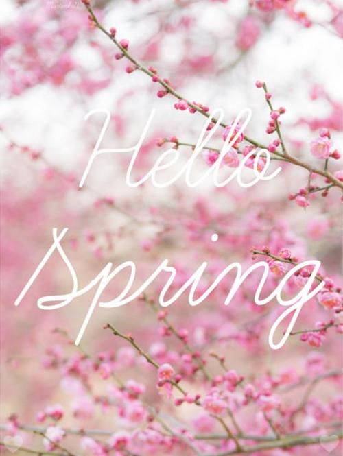 Hello Spring Pictures, Photos, and Images for Facebook, Tumblr ...