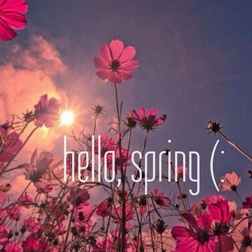 Hello Spring Tumblr Wallpaper