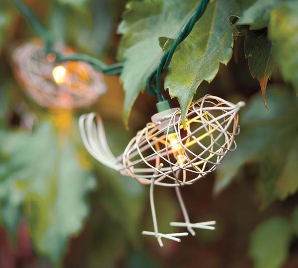 Cute Bird Lights For Spring Evening Pictures, Photos, and Images for