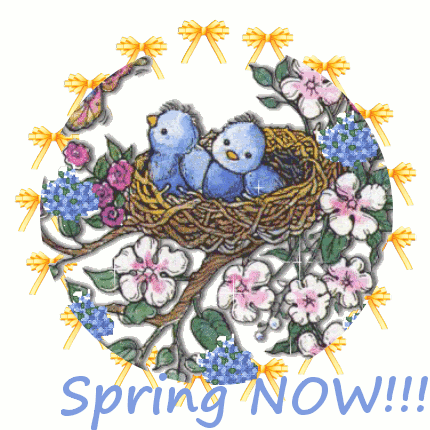 Spring Now Pictures, Photos, and Images for Facebook, Tumblr, Pinterest ...