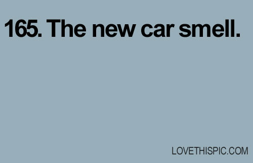 165-new-car 165-new-car