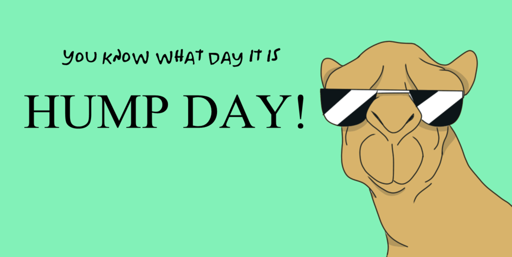 You Know What Day It Is Pictures, Photos, and Images for Facebook ...