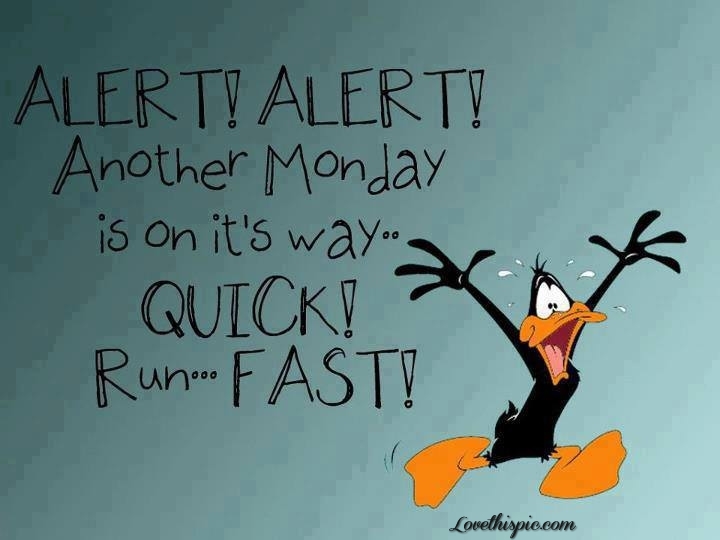 alert!