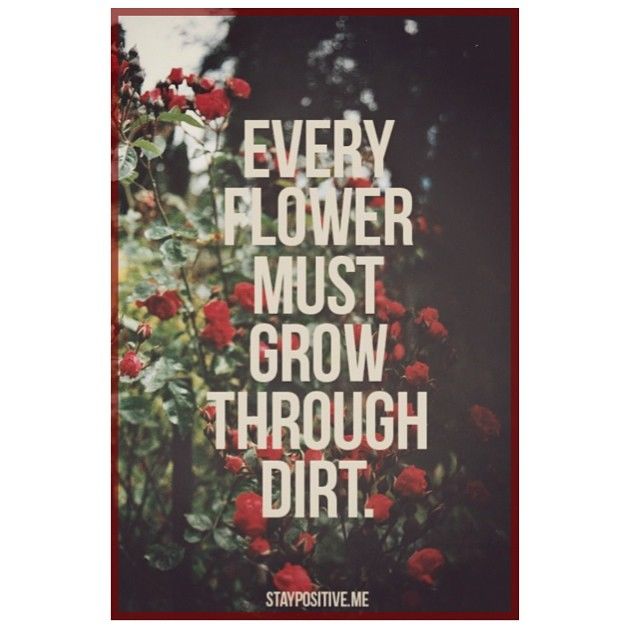 Every Flower Must Grow Through Dirt Pictures, Photos, and Images for Facebook, Tumblr, Pinterest