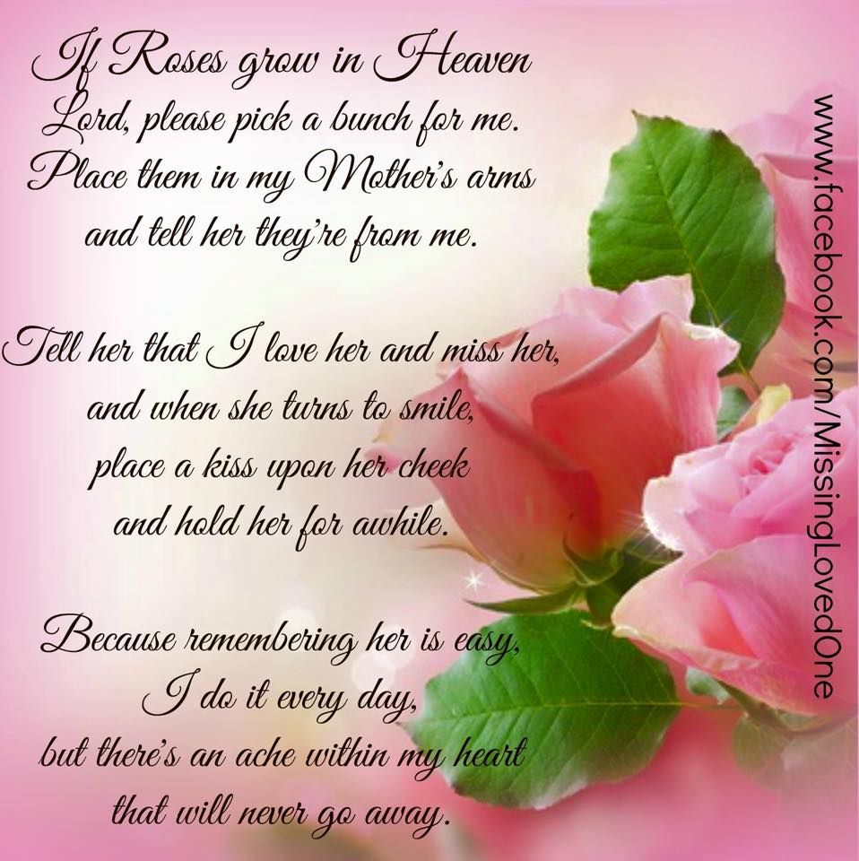 If Roses Grow In Heaven Pictures Photos And Images For Facebook 