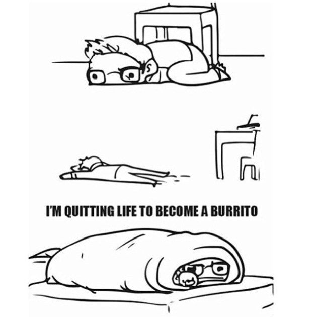 I'm Quitting My Life To A Burrito Pictures, Photos, and Images