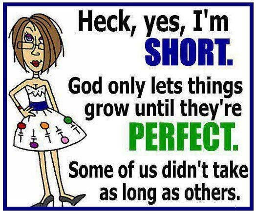short and perfect