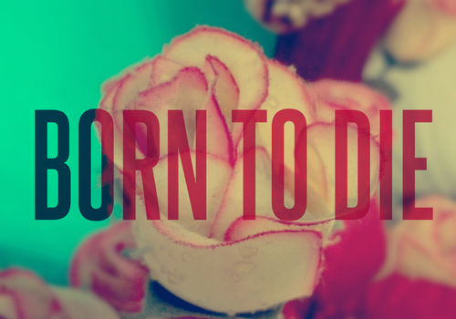 born to die born to die