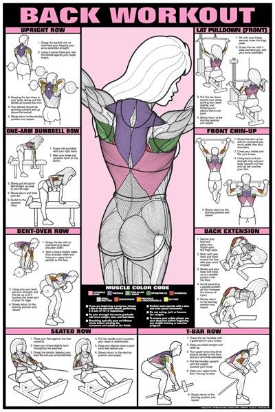 Back Workout Pictures, Photos, and Images for Facebook, Tumblr ...