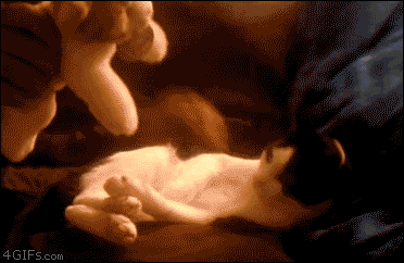 Kitty's Baby Gif