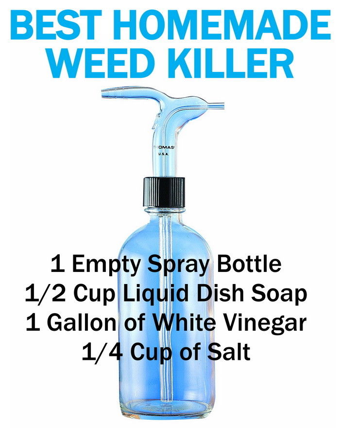 Best Homemade Weed Killer Pictures, Photos, and Images for Facebook