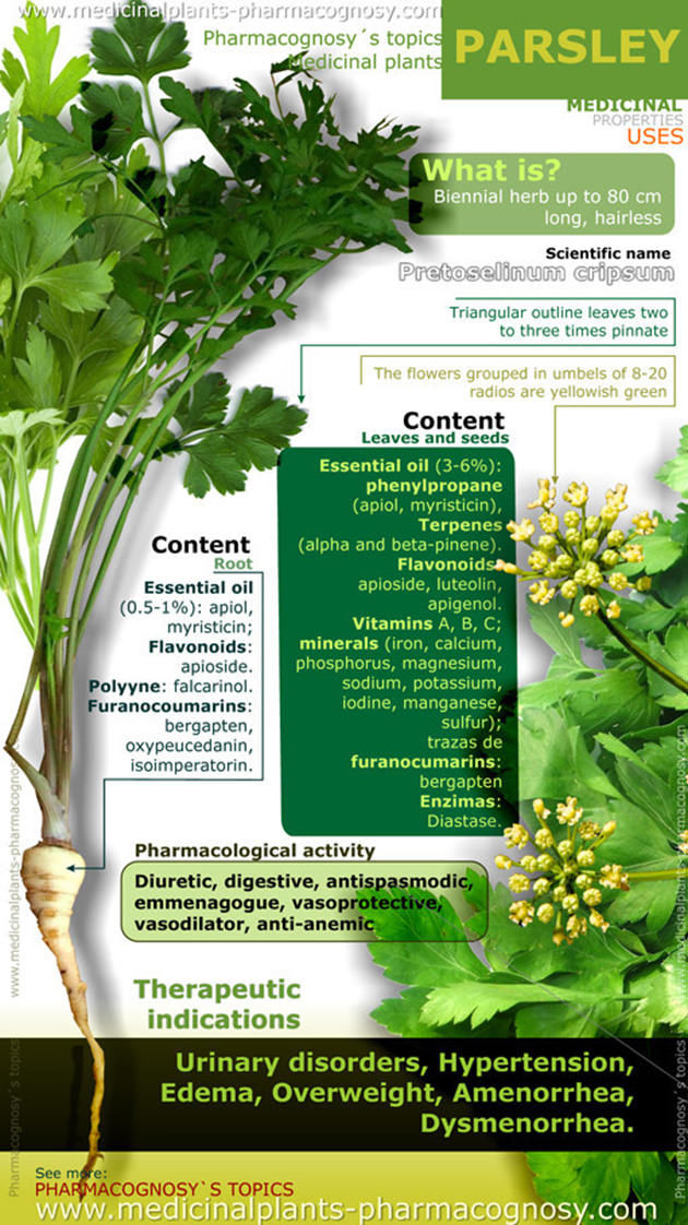 Parsley Health Benefits Pictures, Photos, and Images for Facebook