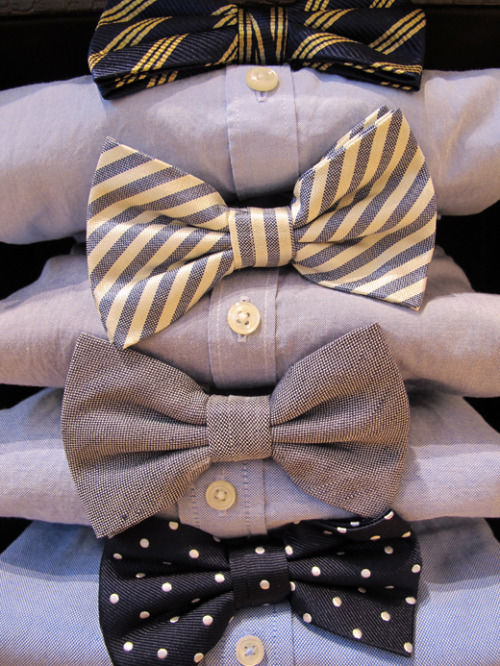 saratoga bowtie