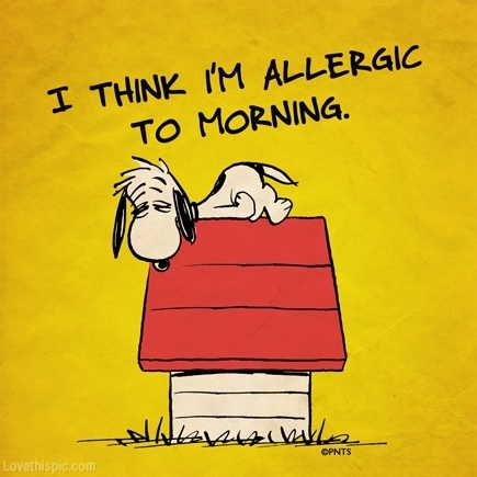 allergic to morning