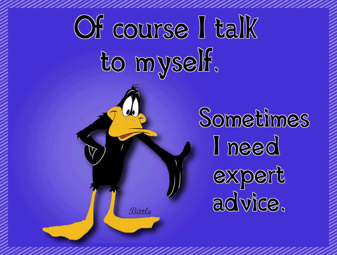 of course i talk to myself