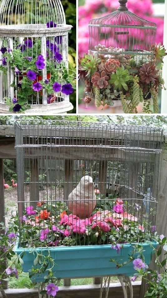 Birdcage Planters Pictures, Photos, and Images for Facebook, Tumblr