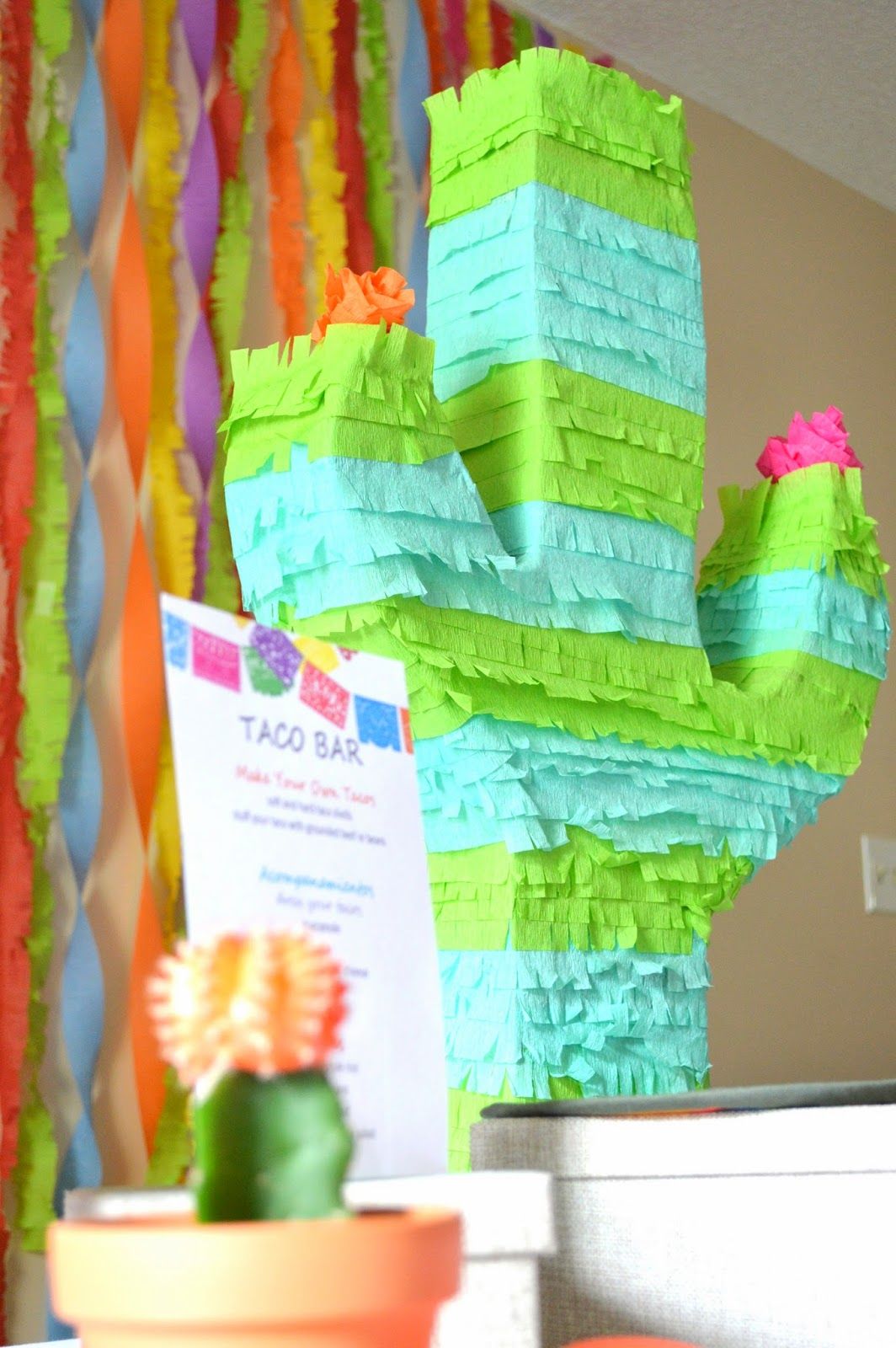 Cactus Pinata Pictures, Photos, and Images for Facebook, Tumblr