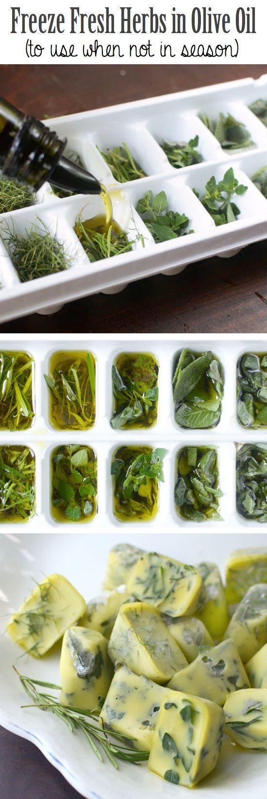 Freeze Fresh Herbs In Olive Oil To Use When Not In Season Pictures