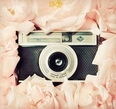 Camera and flowers Camera and flowers