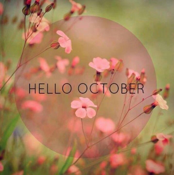 Hello October Pictures, Photos, and Images for Facebook, Tumblr