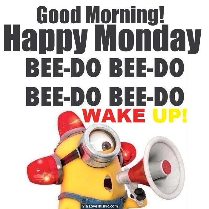 Good Morning, Happy Monday, Wake Up! Pictures, Photos, and Images for