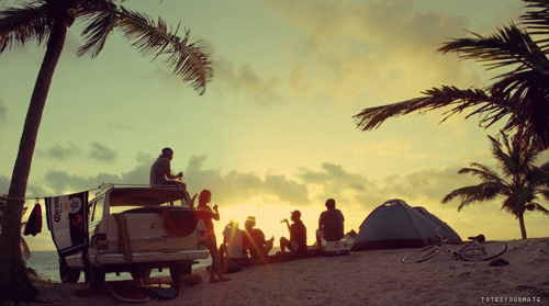 Swaying palms