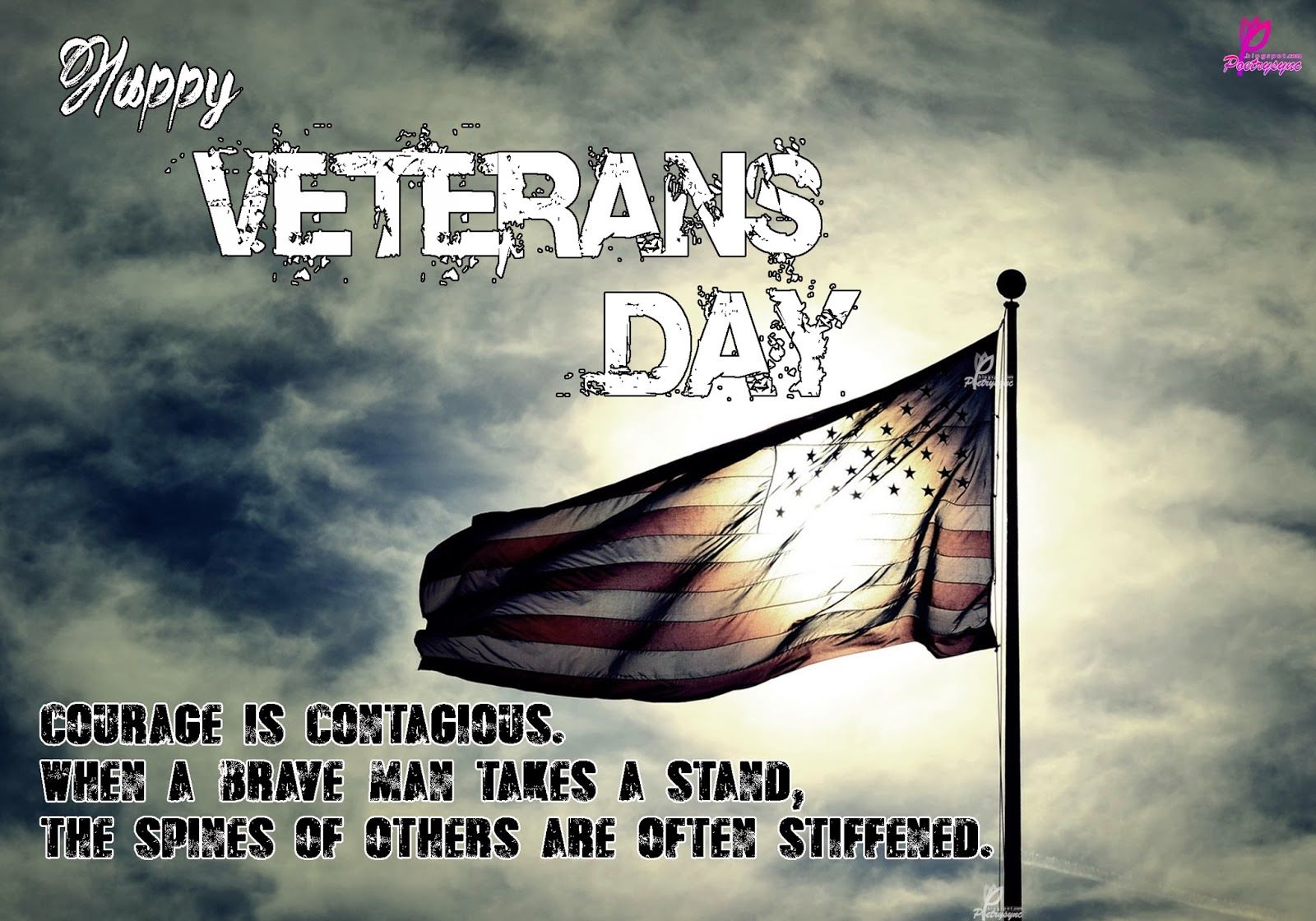 Happy Veterans Day Image Pictures Photos And Images For Facebook 