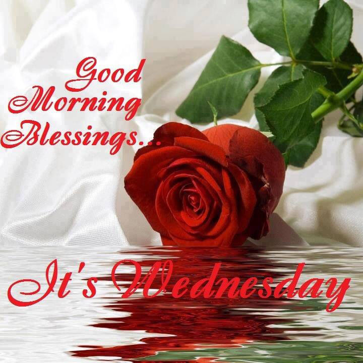 Good Morning Wednesday Morning Blessings Good Morning Blessings Its Wednesday Pictures, Photos, And Images For  Facebook, Tumblr, Pinterest, And Twitter